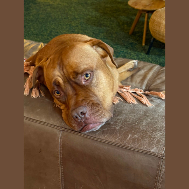 Photo of Tia 