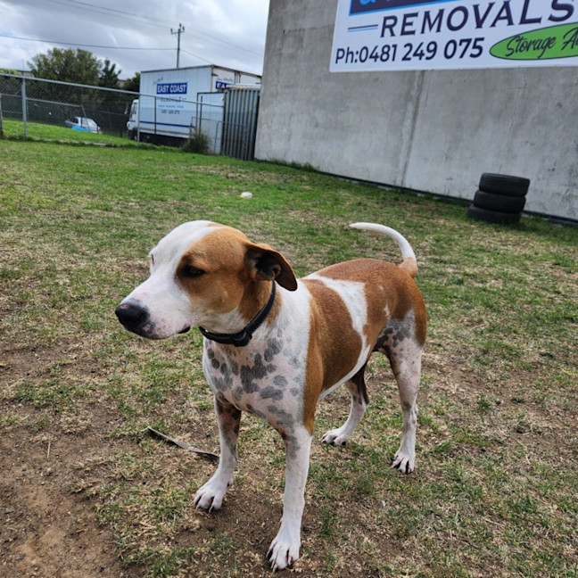 Photo of Doug (65435)