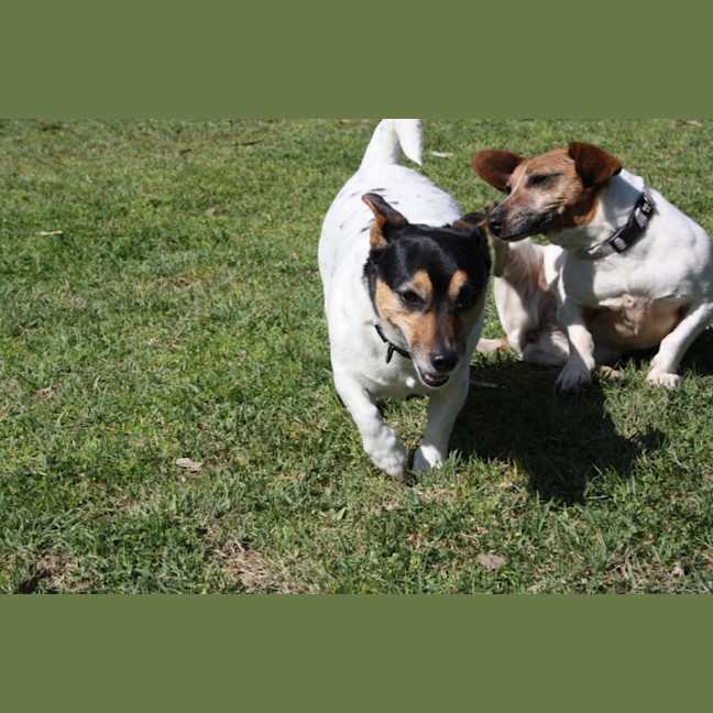 Photo of Ziggy And Zepha