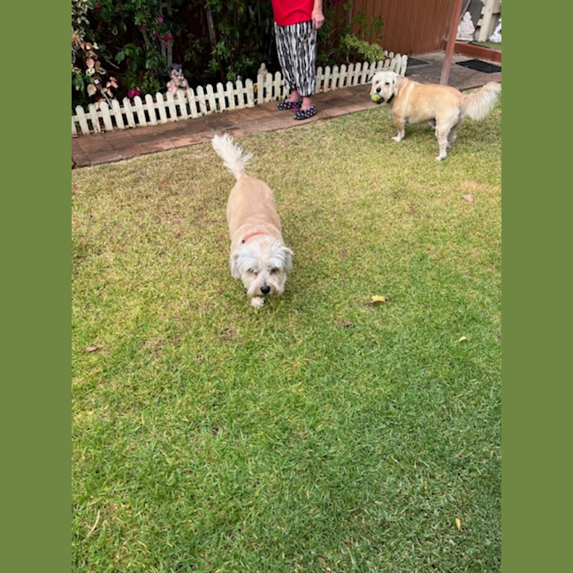 Photo of Katie And Zuri