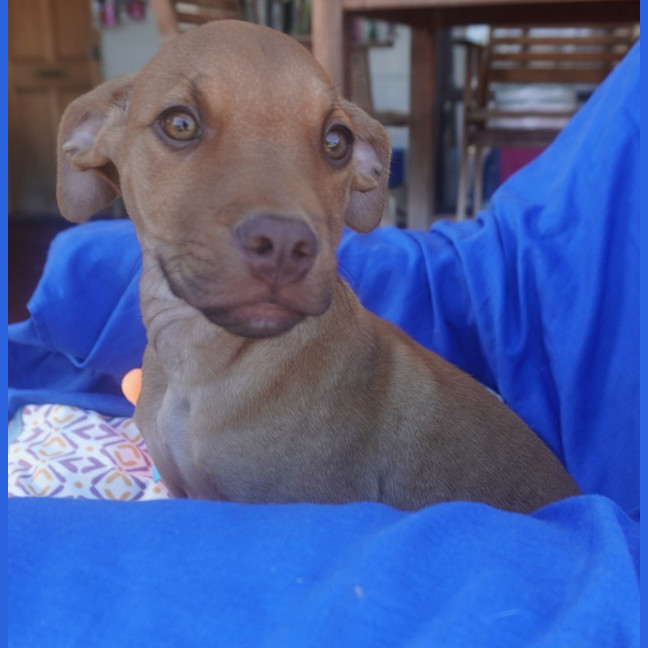 Photo of Ares