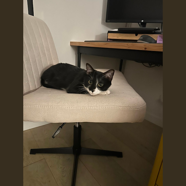 Photo of Daisy