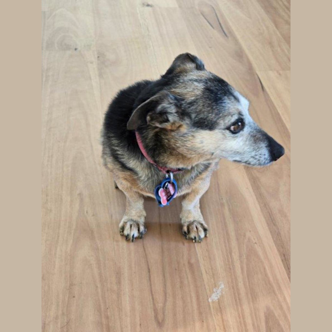 Photo of Barney Lozano