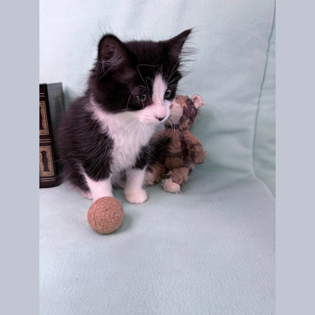 Photo of Gracie May 🌷