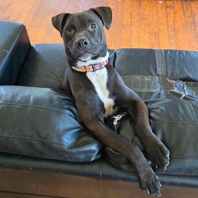 Photo of Jenny