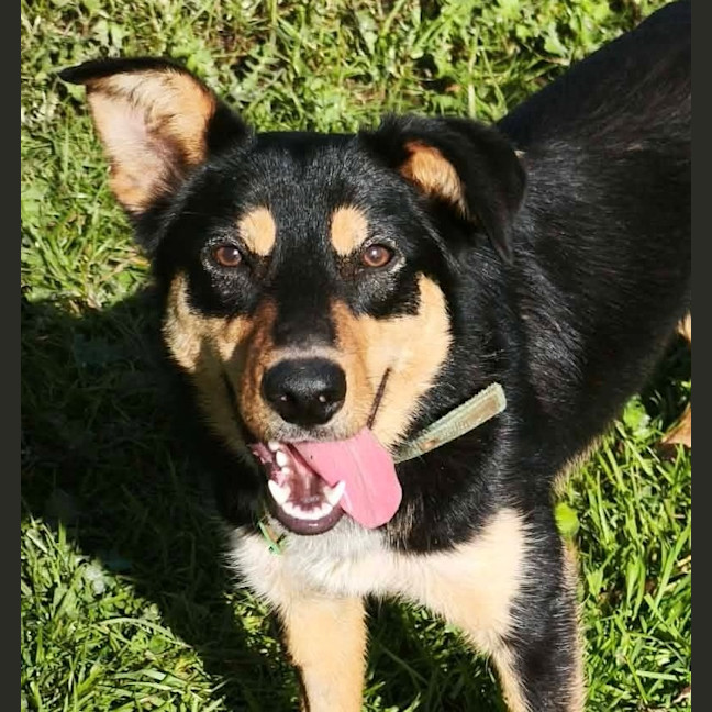Photo of Lola