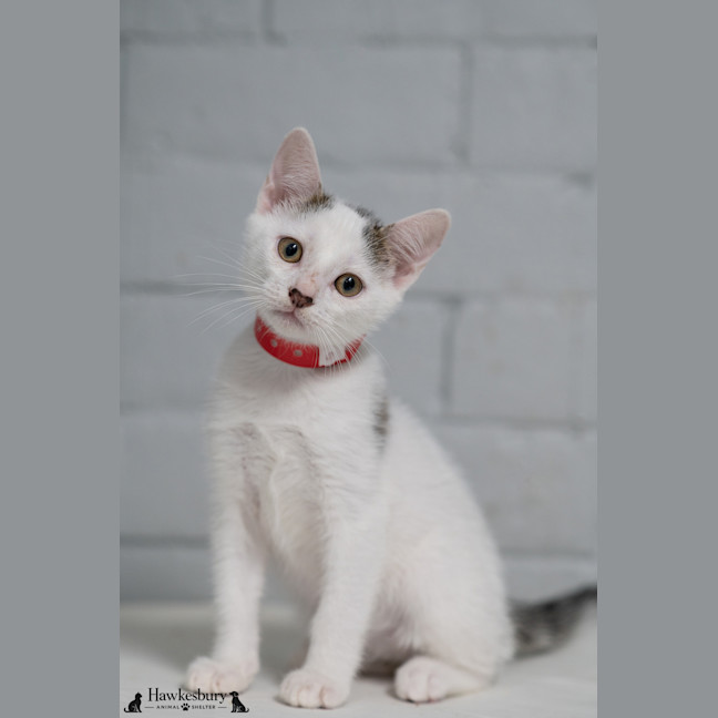 Photo of Fred
