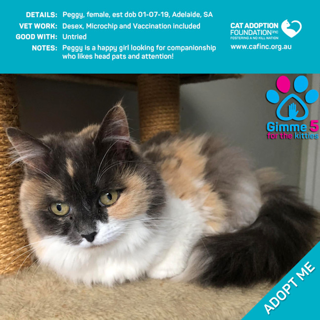 Photo of Peggy Only $39 Limited Time!