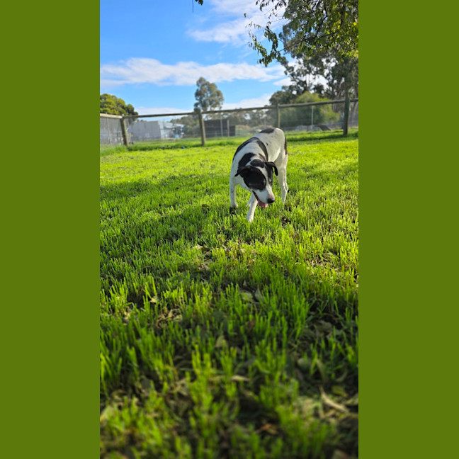 Photo of Tank