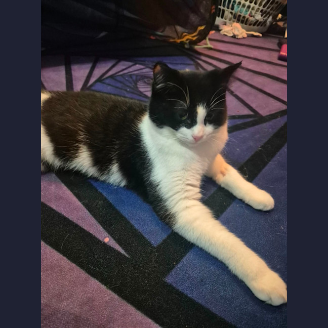 Photo of Honey