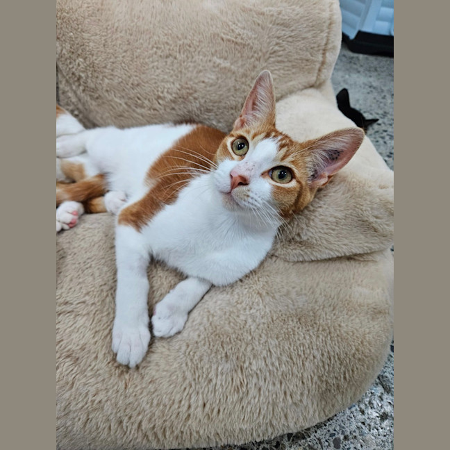 Photo of Bruce