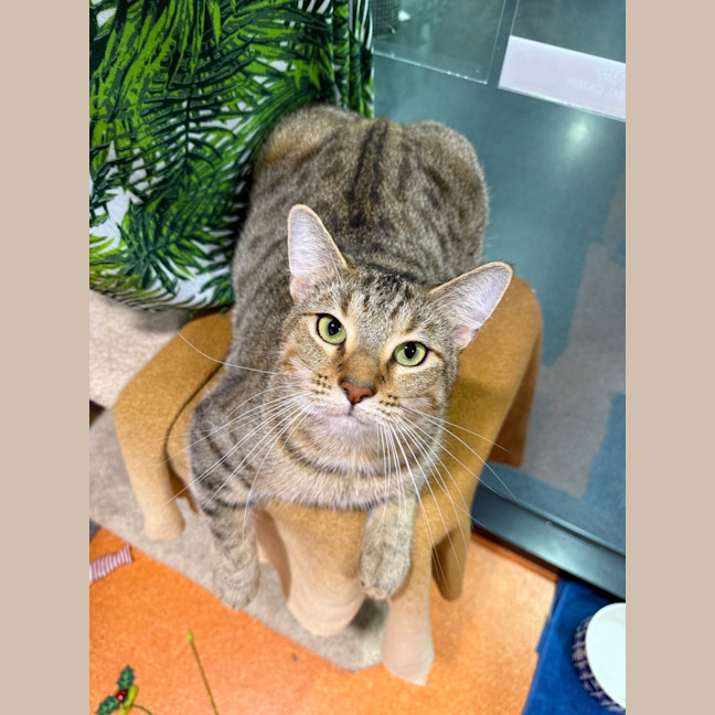 Photo of Spice