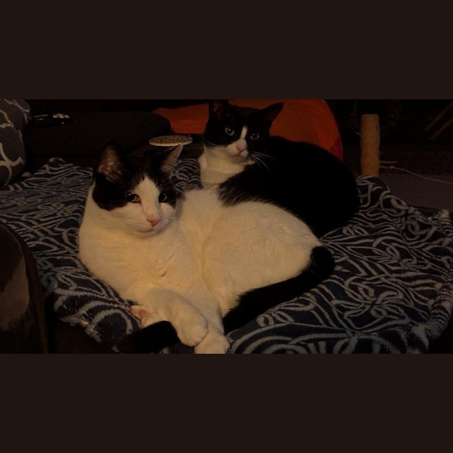 Photo of Penelope Babbington