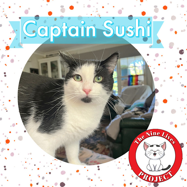 Photo of Captain Sushi *9 Lives Project Rescue*
