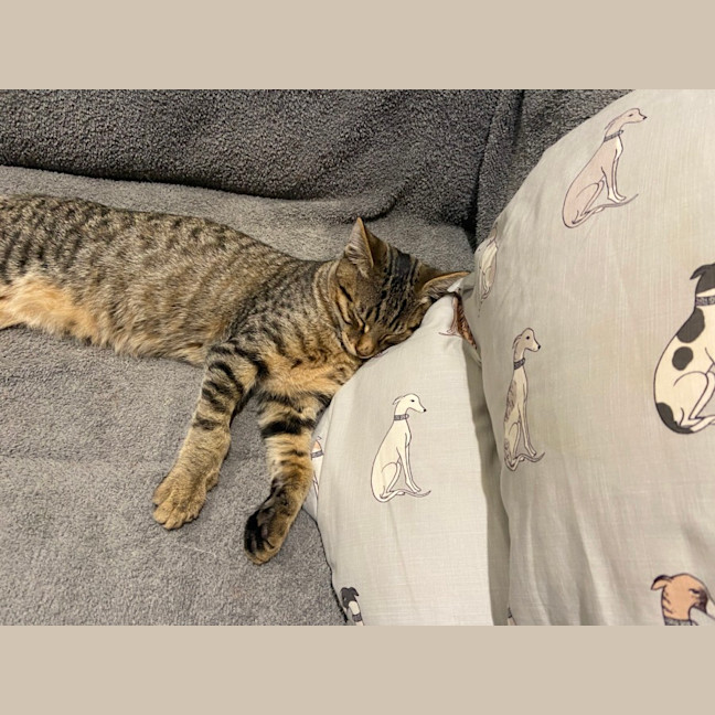 Photo of Fred (Weasley) Of Harry Potter Fame