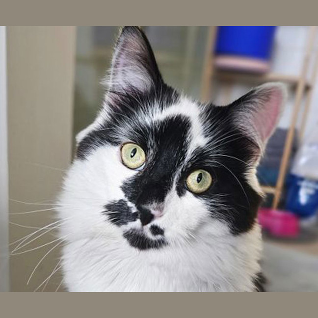 Photo of Mr Moo