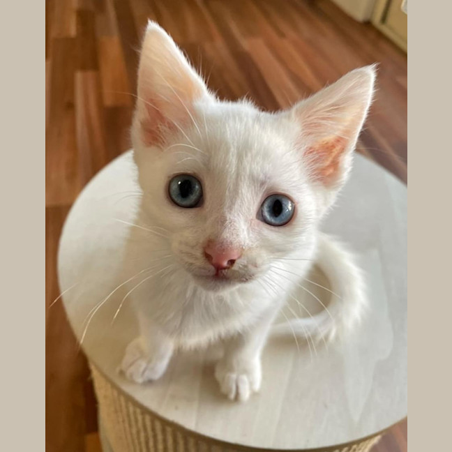 Photo of Cecilia