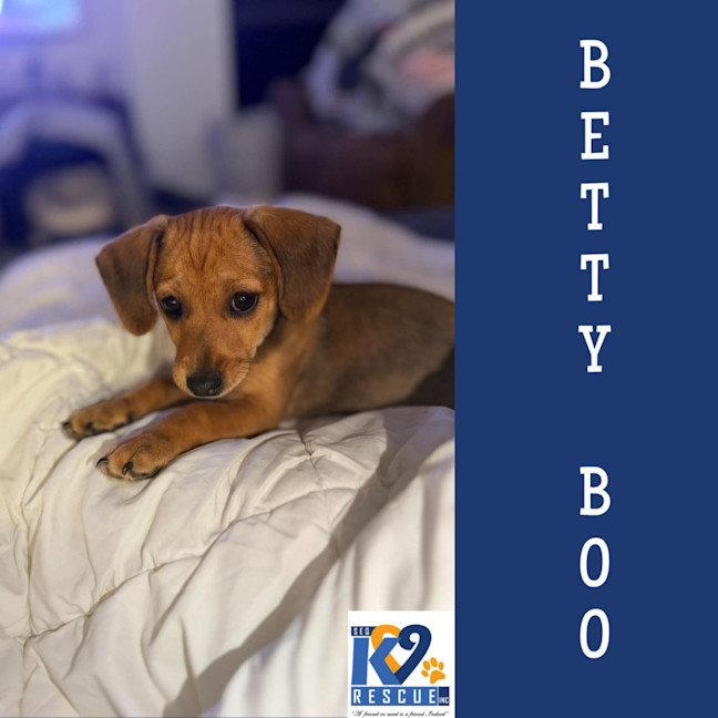 Photo of Betty Boo