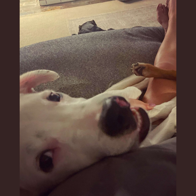 Photo of Bolt