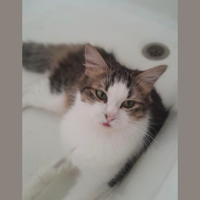 Photo of Drusilla And Spike