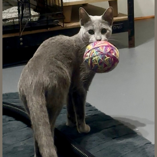 Photo of Elani 😻👑