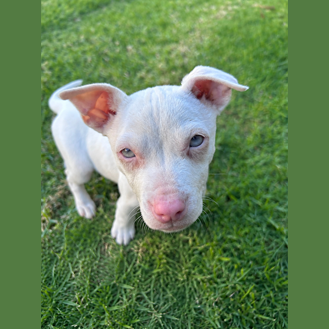 Photo of Kaliah
