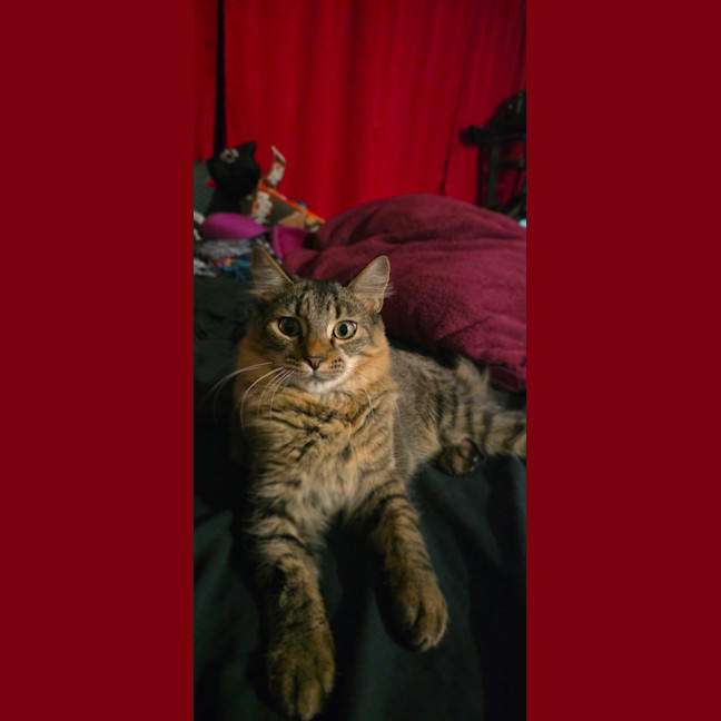 Photo of Quaza