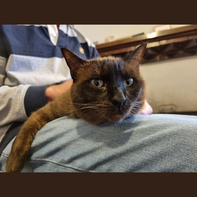 Photo of Frankie & Freddy   Located In Preston