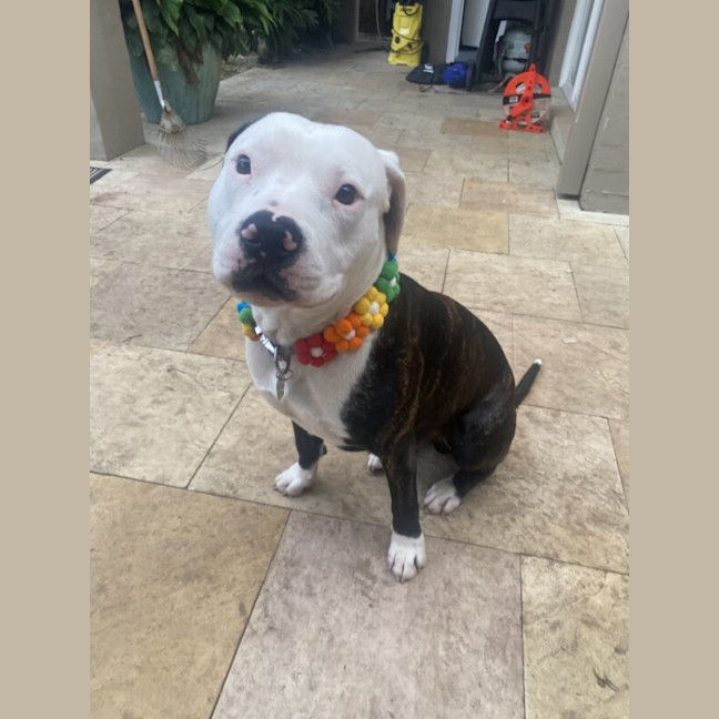 Photo of Hugo