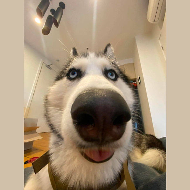 Photo of Athena