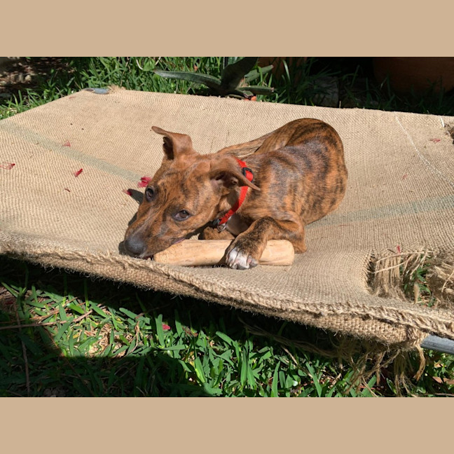 Photo of Candy