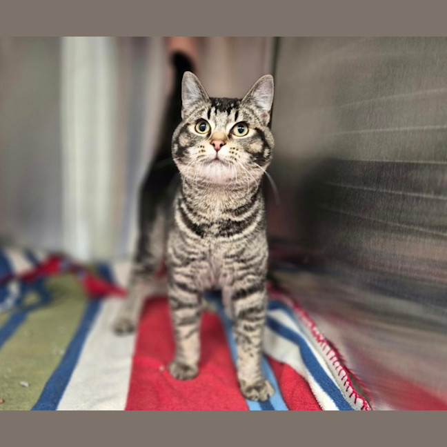 Photo of Kiki