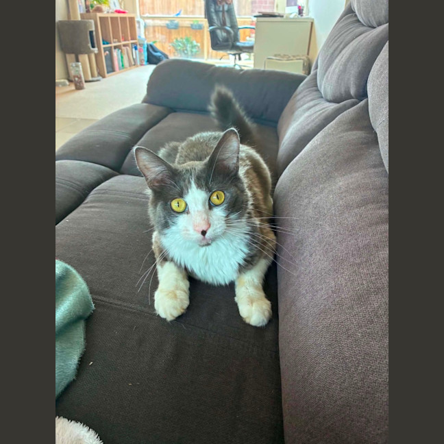 Photo of Murphy