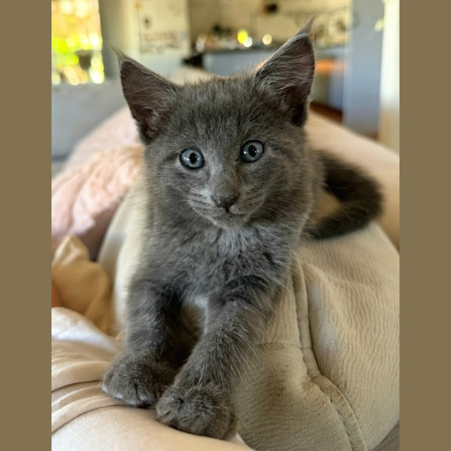 Photo of Asher