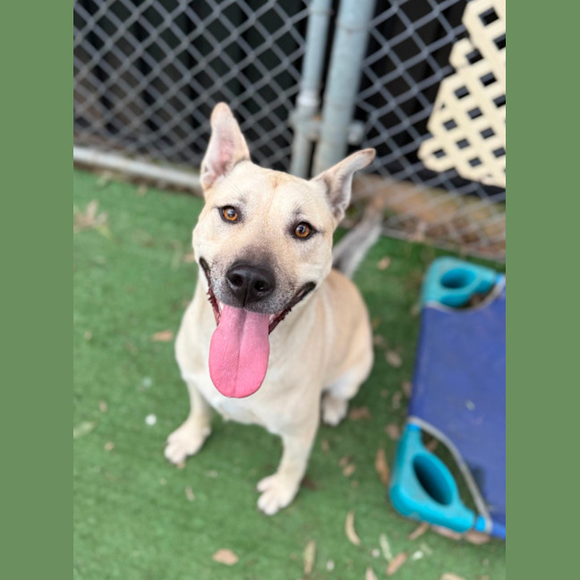 Photo of Lucy