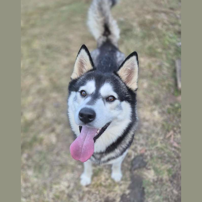 Photo of Hugo