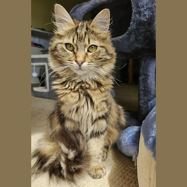 Photo of Nami