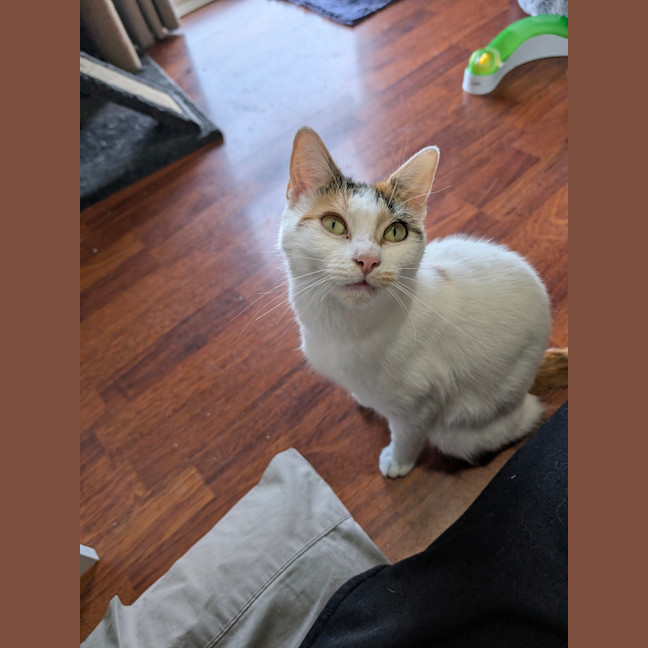 Photo of Freya 