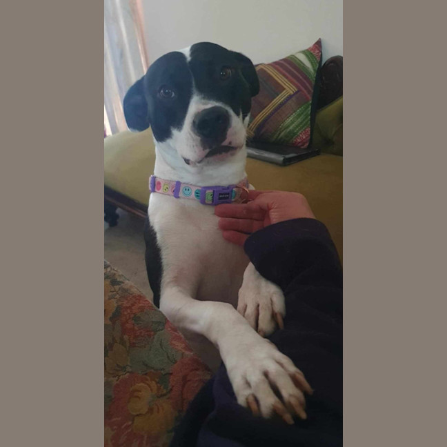 Photo of Maggie Junee