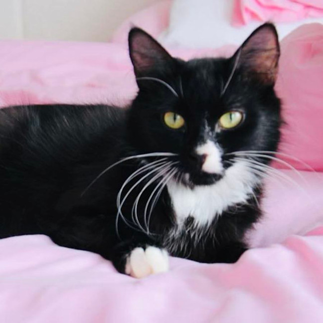 Photo of Calypso   Located In Croydon