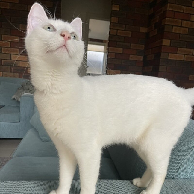 Photo of Amelia