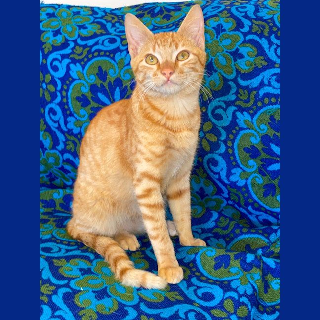 Photo of Max