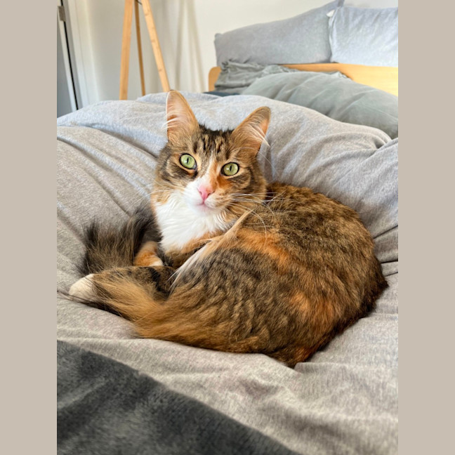 Photo of Mish Mish