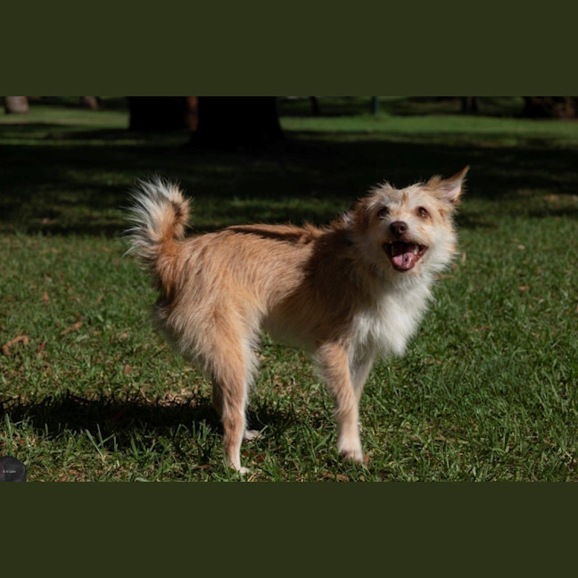 Photo of Buster Bulleau