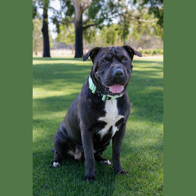 Photo of Athena 