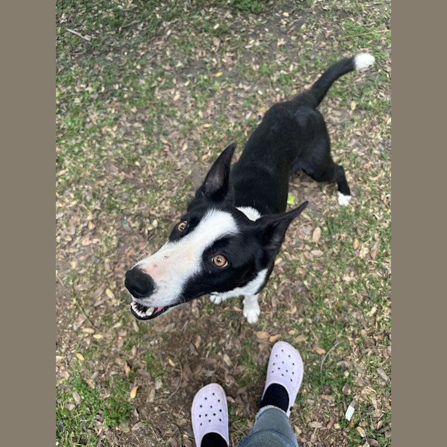 Photo of Jacko