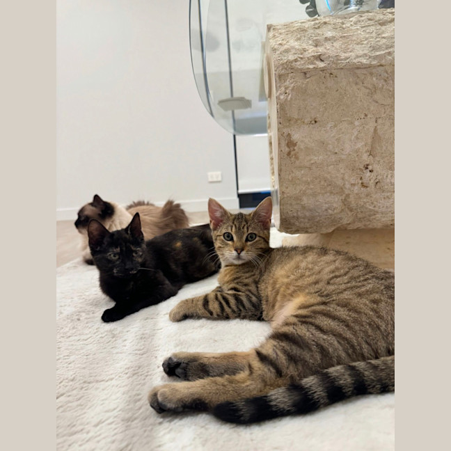 Photo of Malak And Ishmael