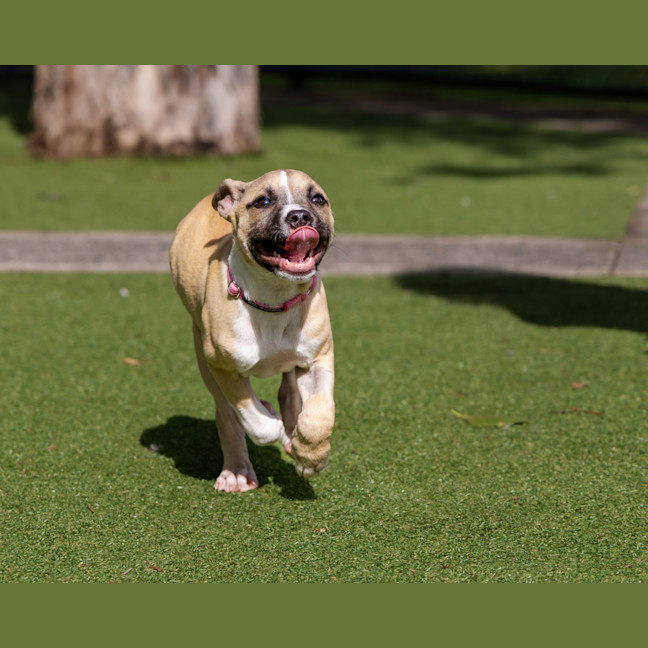 Photo of Lottie Bell