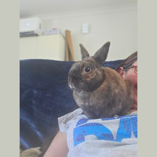 Photo of Irresistible Cuddles