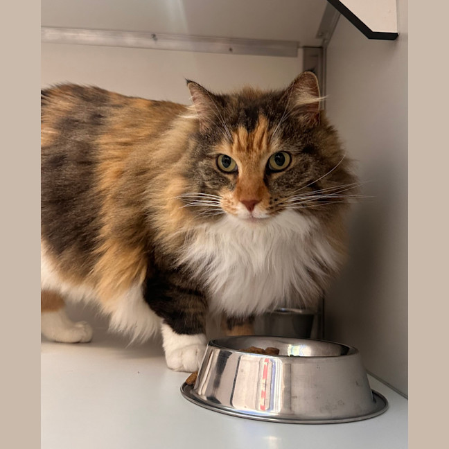 Photo of Sophie